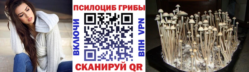 закладка  Юрюзань  Галлюциногенные грибы Psilocybe 